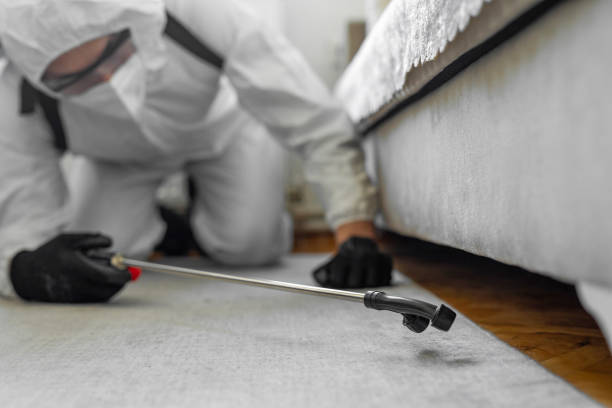 Professional Termite Control technician working in River Falls, WI