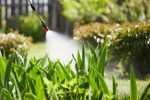 24/7 Emergency Termite Control experts in River Falls, WI