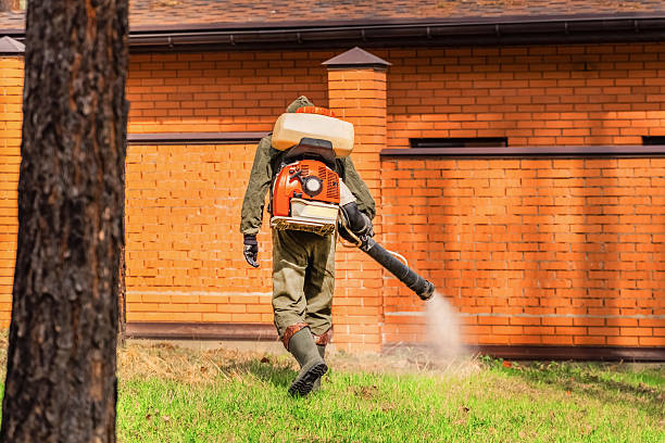 Top rated local Termite Control specialists in River Falls, WI